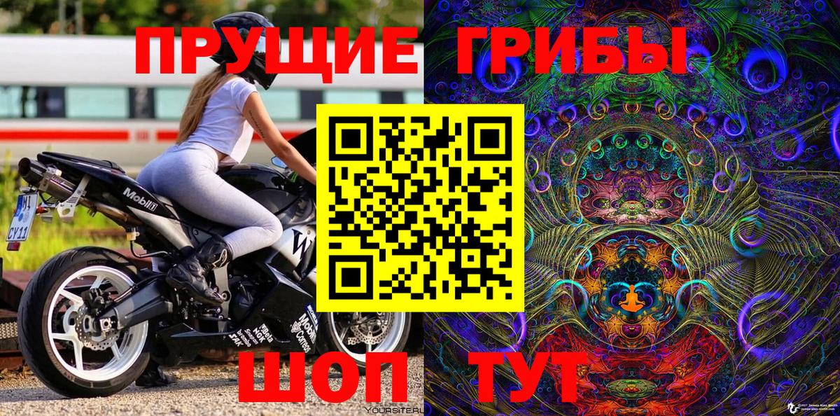 Псилоцибиновые грибы Cubensis Калининград
