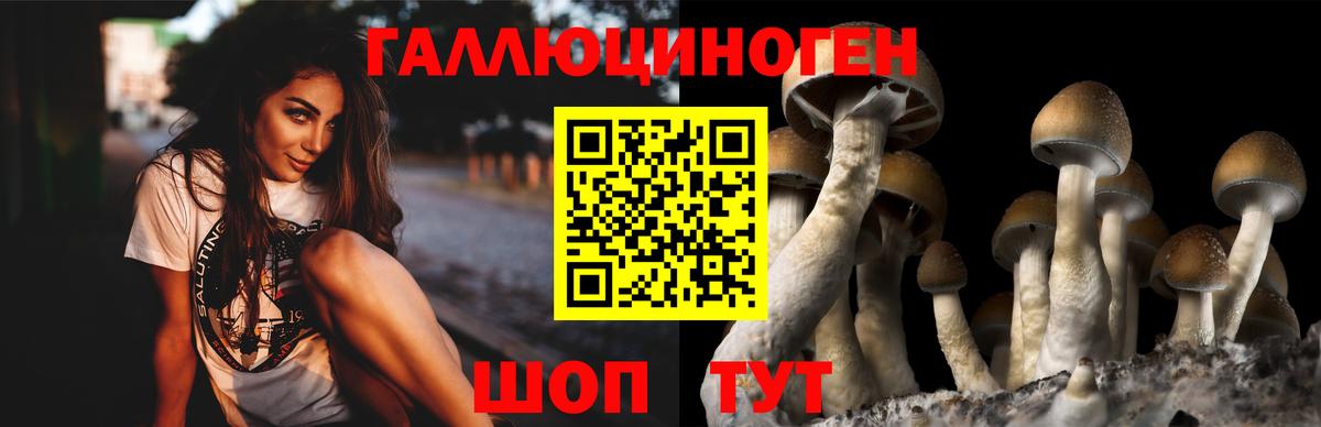 Галлюциногенные грибы Psilocybine cubensis  Вход с VPN  Калининград 
